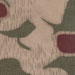 http://*****/pic/camo/21.jpg