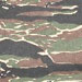 http://*****/pic/camo/24.jpg