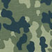 http://*****/pic/camo/26.jpg
