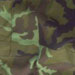 http://*****/pic/camo/31.jpg