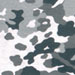 http://*****/pic/camo/34.jpg