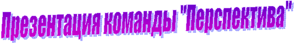 Презентация команды "Перспектива"