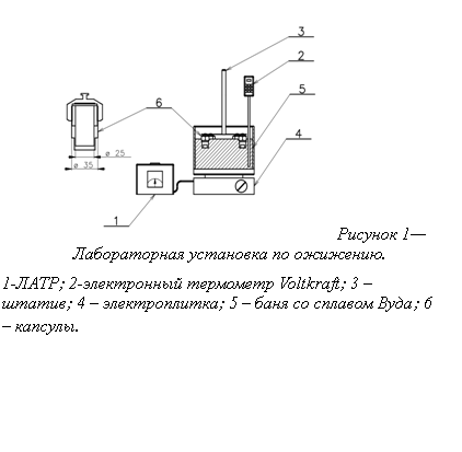 �������: