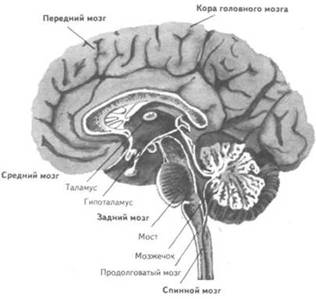 http://*****/biblio/archive/nemov_obchie/images/01_clip_image002.jpg