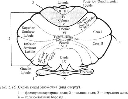 http://*****s.ec/i/26/154626/i_3d.png