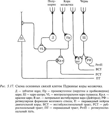 http://*****s.ec/i/26/154626/i_3e.png