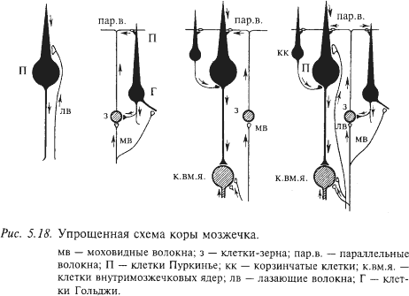 http://*****s.ec/i/26/154626/i_3f.png