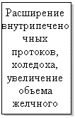 Подпись: Расширение внутрипече-ночных про-токов, холе-доха, увели-чение объема желчного пузыря