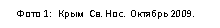 �������: