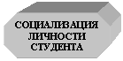 Восьмиугольник: СОЦИАЛИЗАЦИЯ ЛИЧНОСТИ
СТУДЕНТА