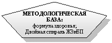 Правильный пятиугольник: МЕТОДОЛОГИЧЕСКАЯ БАЗА:
формула здоровья;
Двойная спираль ЖЗиБП