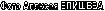���� ������� �������