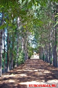 Что можно купить за квартиру в Москве (31 фото + текс) 27