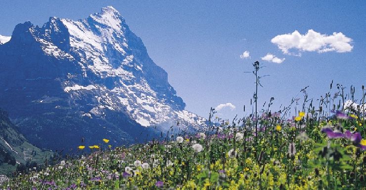 Бернские Альпы