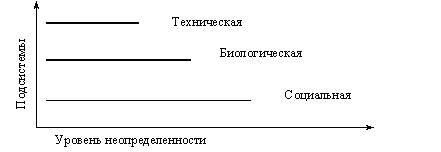 ris__5.jpg