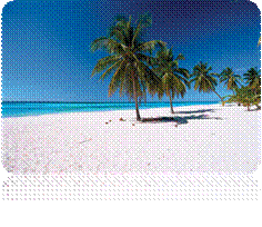 beach.jpg