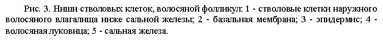 �������: