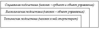 ris__23.jpg