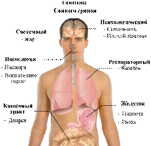 http://upload.wikimedia.org/wikipedia/commons/thumb/2/28/*****.png/*****.png
