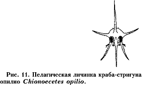 ���. 11