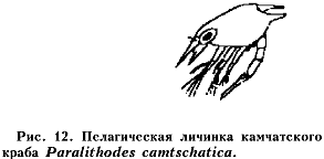 ���. 12