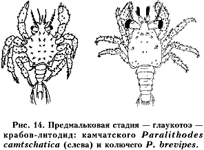 ���. 14