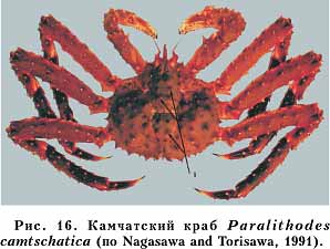 Рис. 16