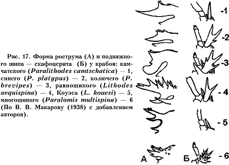 Рис. 17