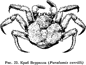 Рис. 23