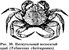 Рис. 30