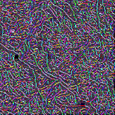 ������