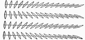parall3.gif