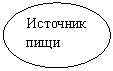 ����: �������� ���� 