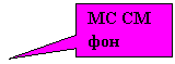 ������������� �������: MC �� ���