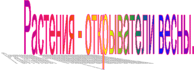 Растения - открыватели весны.
