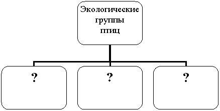 Организационная диаграмма