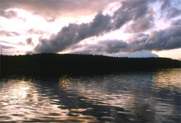 �