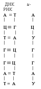 Подпись: