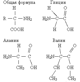 img2.gif (2200 bytes)