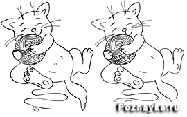 котики внимание