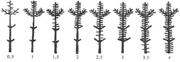 http://*****/03programs/issl/works/bioind_chita_sh3.jpg