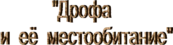 "Дрофа
и её местообитание"