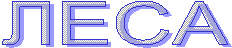 ЛЕСА