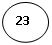 ����: 23