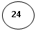 ����: 24