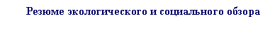 Подпись: Резюме экологического и социального обзора