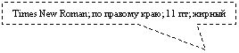 ������������� �������: Times New Roman; �� ������� ����; 11 ��; ������ 