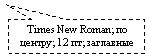 ������������� �������: Times New Roman; �� ������; 12 ��; ��������� 