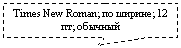 ������������� �������: Times New Roman; �� ������; 12 ��; �������
