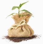 plant_welcome